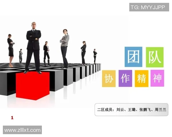 实时新闻团结拼搏共铸辉煌杭州羽毛球队的团队协作精神探讨